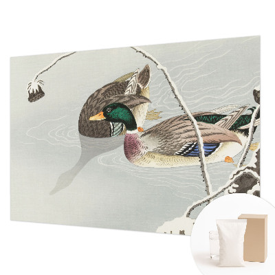 Tapeta fotograficzna Spokojne kaczki