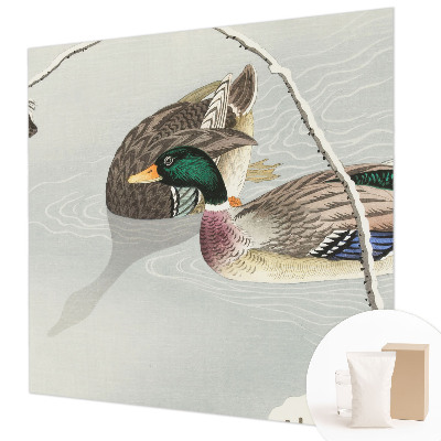 Tapeta fotograficzna Spokojne kaczki