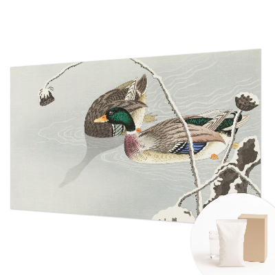 Tapeta fotograficzna Spokojne kaczki