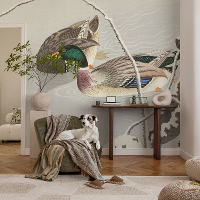 Tapeta fotograficzna Spokojne kaczki