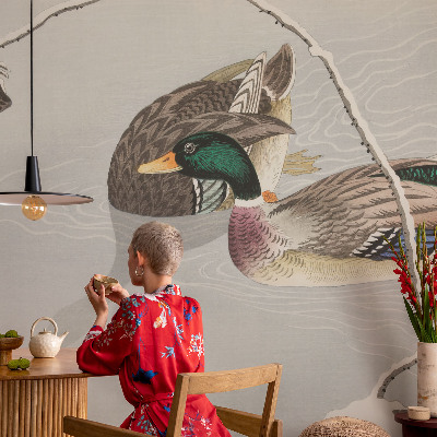 Tapeta fotograficzna Spokojne kaczki