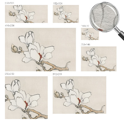 Dekoracyjna fototapeta na ścianę Delikatne magnolie