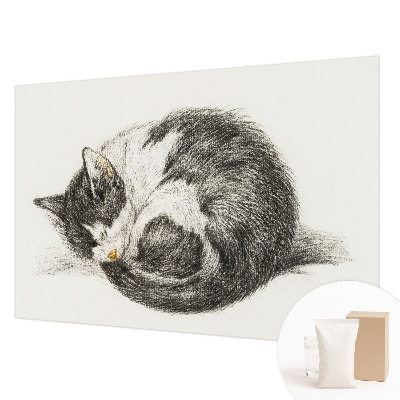 Fototapeta fizelinowa do sypialni Uroczy kotek