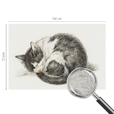 Fototapeta fizelinowa do sypialni Uroczy kotek