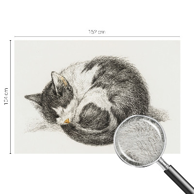 Fototapeta fizelinowa do sypialni Uroczy kotek