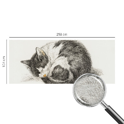 Fototapeta fizelinowa do sypialni Uroczy kotek