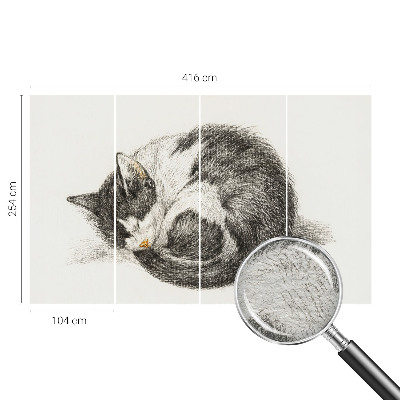 Fototapeta fizelinowa do sypialni Uroczy kotek