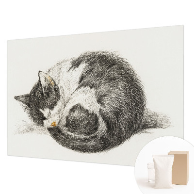 Fototapeta fizelinowa do sypialni Uroczy kotek