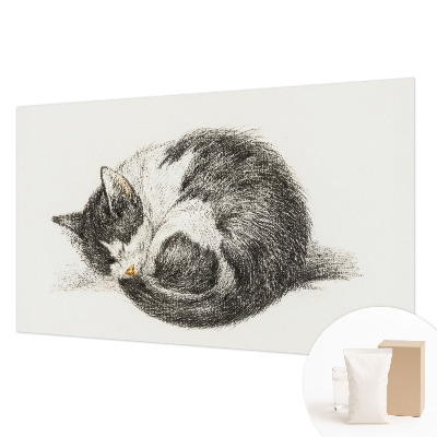 Fototapeta fizelinowa do sypialni Uroczy kotek