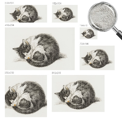 Fototapeta fizelinowa do sypialni Uroczy kotek