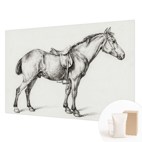 Fototapeta na ścianę Szkic konia