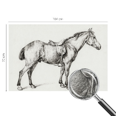 Fototapeta na ścianę Szkic konia