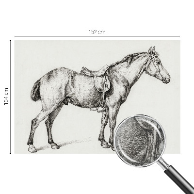 Fototapeta na ścianę Szkic konia