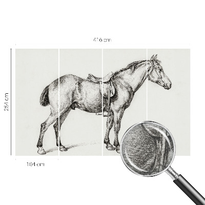 Fototapeta na ścianę Szkic konia