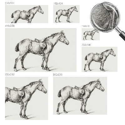 Fototapeta na ścianę Szkic konia