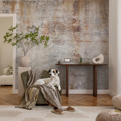 Fototapeta fizelinowa z nadrukiem Surowa powierzchnia