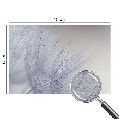 Tapeta fotograficzna fizelinowa z motywem dmuchawca pokrytego kroplami rosy