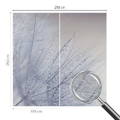 Tapeta fotograficzna fizelinowa Dmuchawiec zroszony