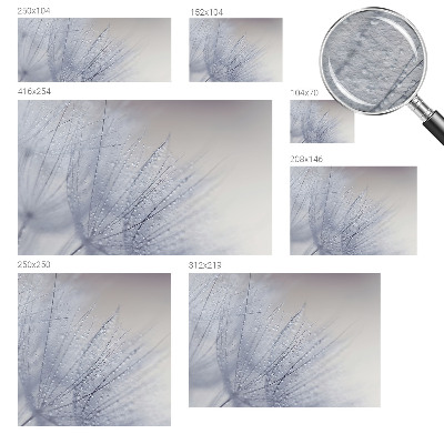 Tapeta fotograficzna fizelinowa z motywem dmuchawca pokrytego kroplami rosy