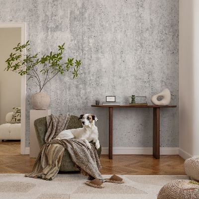 Dekoracyjna fototapeta na ścianę Betonowa ściana