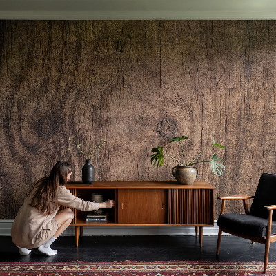 Fototapeta na ścianę Rustykalne drewno