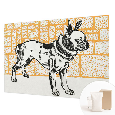 Dekoracyjna fototapeta na ścianę Pies retro