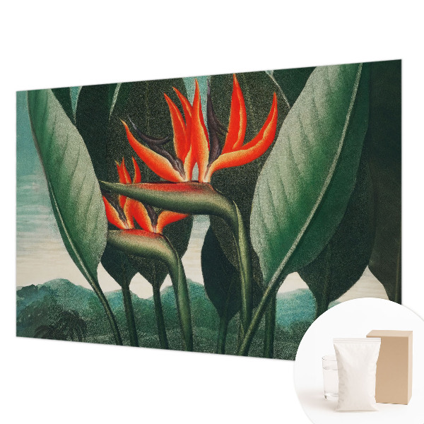 Dekoracyjna fototapeta na ścianę Egzotyczne kwiaty