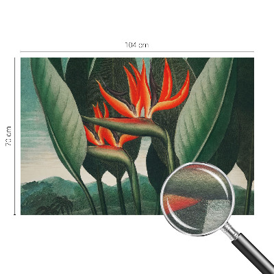 Dekoracyjna fototapeta na ścianę Egzotyczne kwiaty