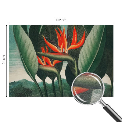 Dekoracyjna fototapeta na ścianę Egzotyczne kwiaty