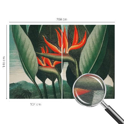 Dekoracyjna fototapeta na ścianę Egzotyczne kwiaty