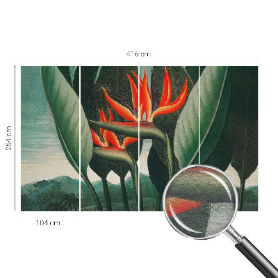 Dekoracyjna fototapeta na ścianę Egzotyczne kwiaty