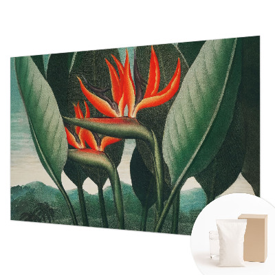 Dekoracyjna fototapeta na ścianę Egzotyczne kwiaty