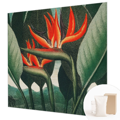 Dekoracyjna fototapeta na ścianę Egzotyczne kwiaty