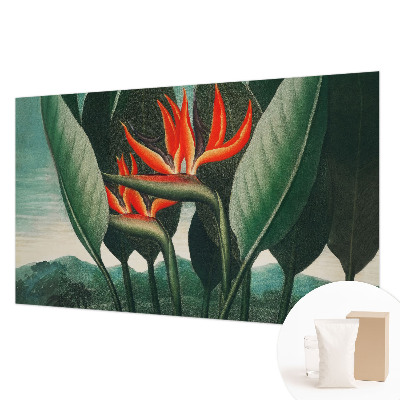 Dekoracyjna fototapeta na ścianę Egzotyczne kwiaty