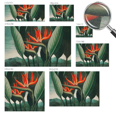 Dekoracyjna fototapeta na ścianę Egzotyczne kwiaty