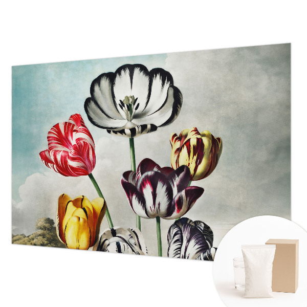 Tapeta fotograficzna fizelinowa z kolorowym motywem tulipanów