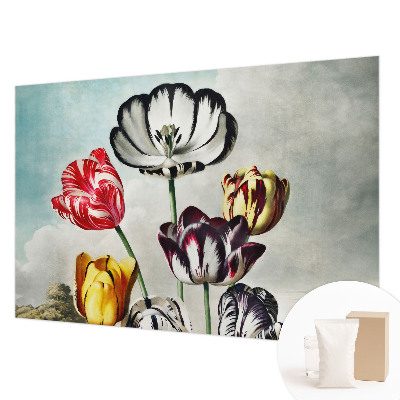 Tapeta fotograficzna fizelinowa z kolorowym motywem tulipanów