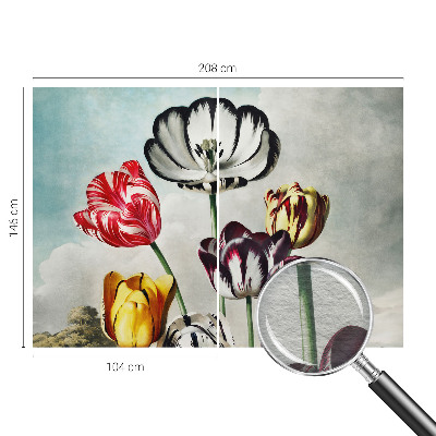 Tapeta fotograficzna fizelinowa z kolorowym motywem tulipanów
