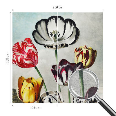 Tapeta fotograficzna fizelinowa Kolorowe tulipany