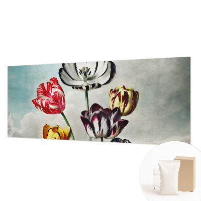 Tapeta fotograficzna fizelinowa Kolorowe tulipany