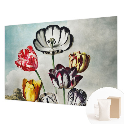 Tapeta fotograficzna fizelinowa z kolorowym motywem tulipanów