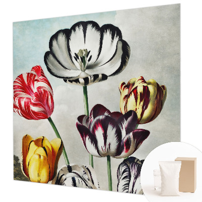 Tapeta fotograficzna fizelinowa Kolorowe tulipany