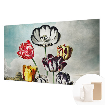 Tapeta fotograficzna fizelinowa z kolorowym motywem tulipanów
