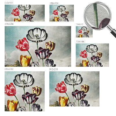 Tapeta fotograficzna fizelinowa Kolorowe tulipany