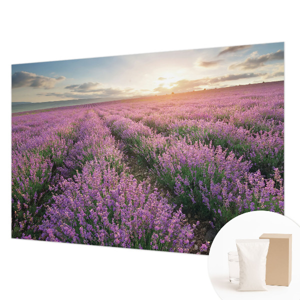 Tapeta fotograficzna fizelinowa Lawendowe pola