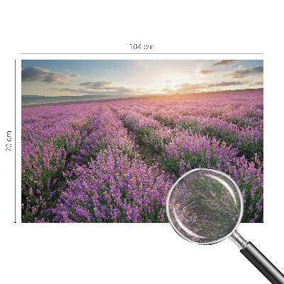 Tapeta fotograficzna fizelinowa z motywem lawendowych pól