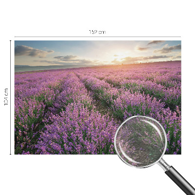 Tapeta fotograficzna fizelinowa z motywem lawendowych pól