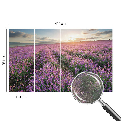 Tapeta fotograficzna fizelinowa z motywem lawendowych pól
