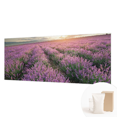 Tapeta fotograficzna fizelinowa Lawendowe pola