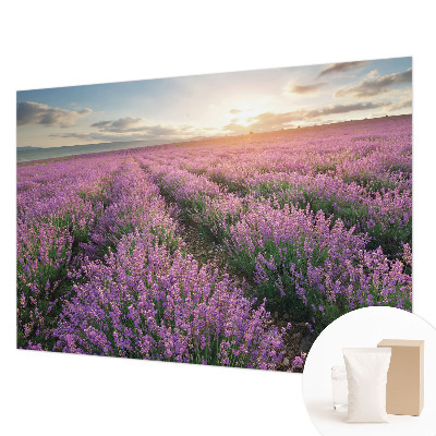 Tapeta fotograficzna fizelinowa Lawendowe pola